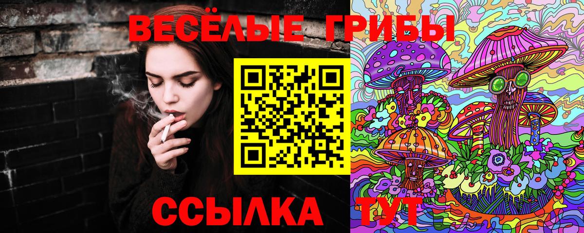 Галлюциногенные грибы GOLDEN TEACHER Биробиджан