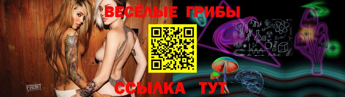 Галлюциногенные грибы GOLDEN TEACHER  Псилоцибиновые грибы Magic Shrooms  Биробиджан  Вход с VPN 